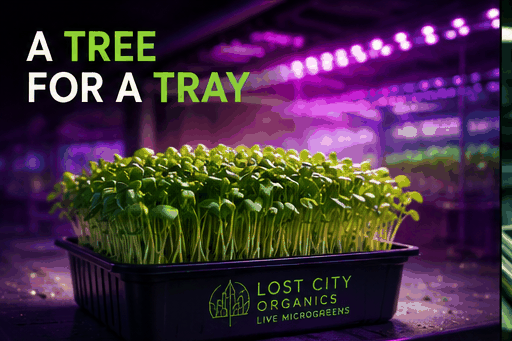 Microgreens traveling to Oakland